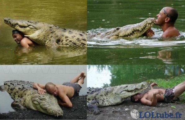 Mon ami le crocodile
