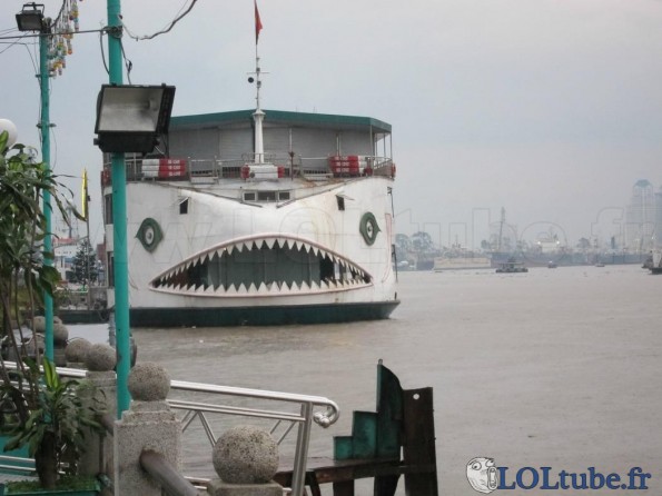 Bateau requin