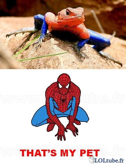 Le lezard a spiderman