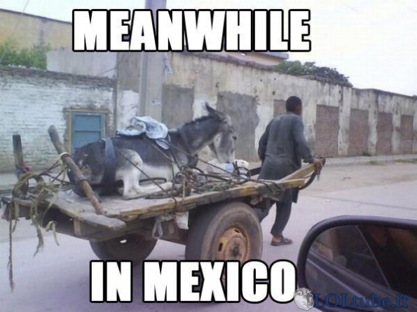 Pendant ce temps au mexique