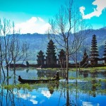 Un joli paysage
