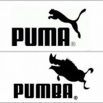Puma ou Pumba ?