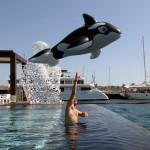 Sauver Willy