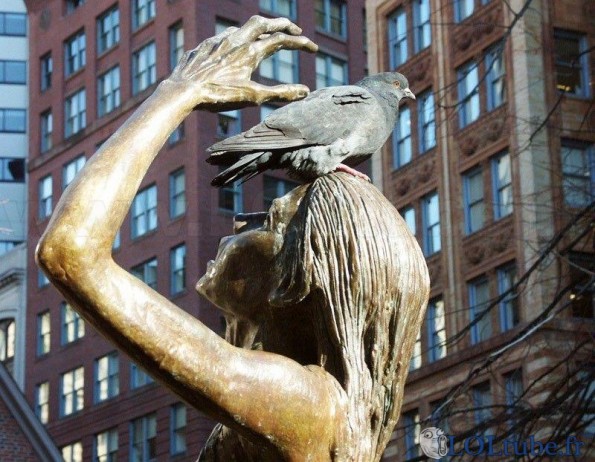 Statue pigeonnée