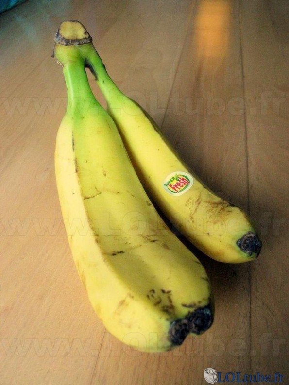 Banane mutante