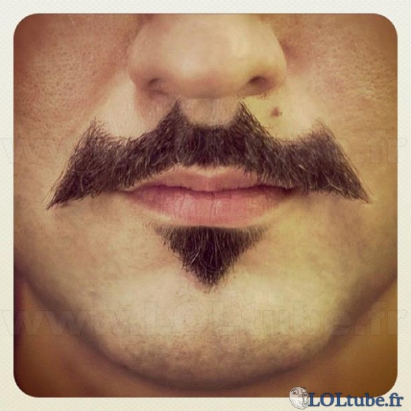 Bat-stache