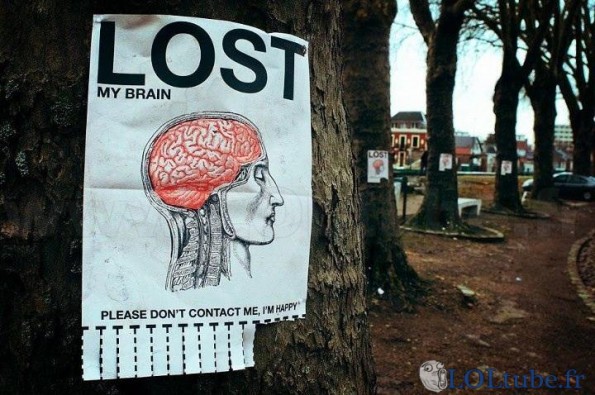 Cerveau, perdu