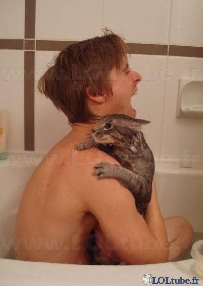 Un bain avec un chat