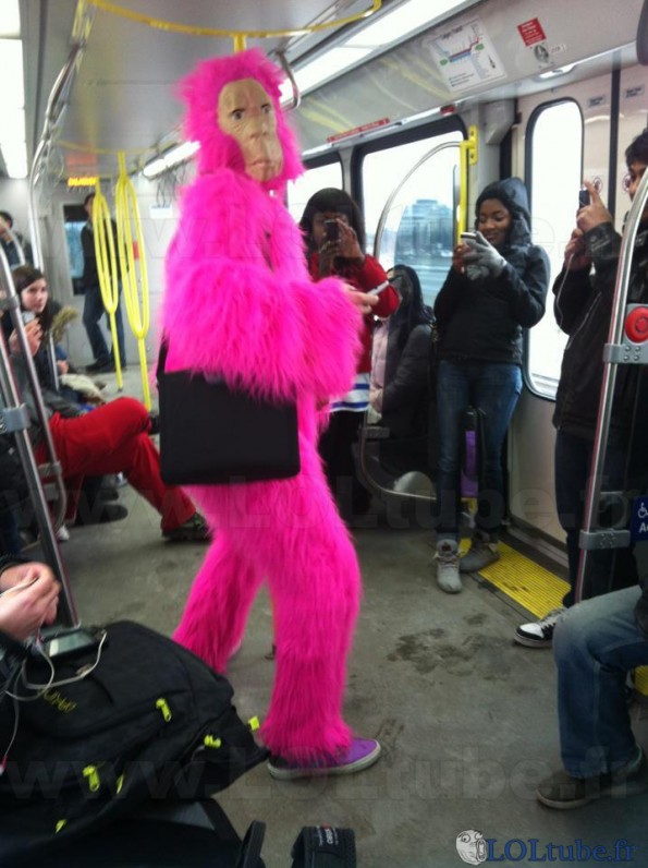 Un singe rose dans le métro