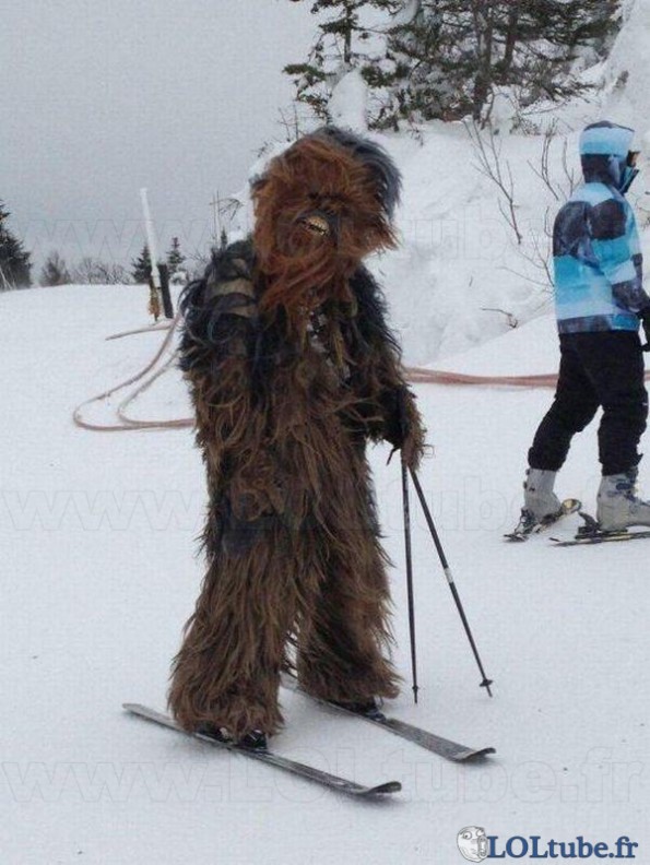 Chewbaca au ski