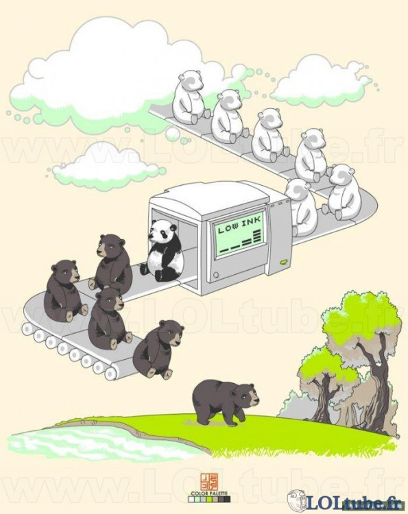 Comment sont fabriqués les pandas