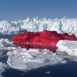 Un iceberg rouge ??