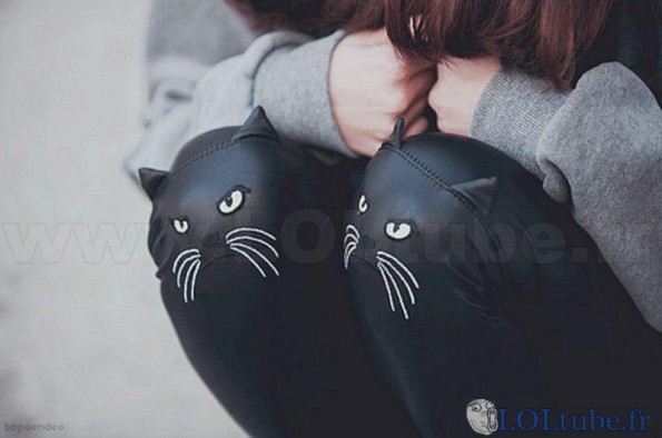 Des chats sur les genoux