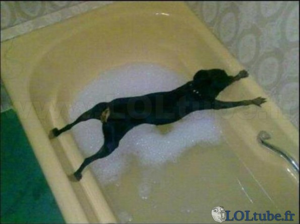 Pas de bain !!!