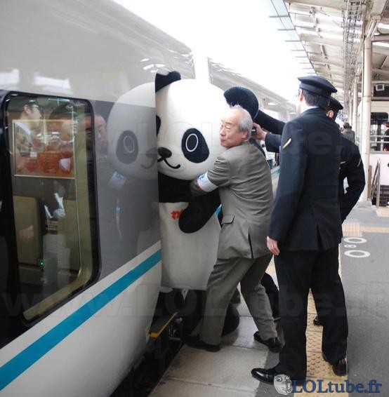 Un panda dans un train