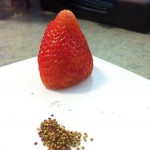 Une fraise mise à nue