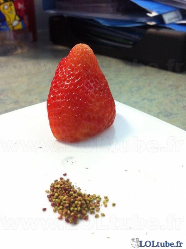 Une fraise mise à nue