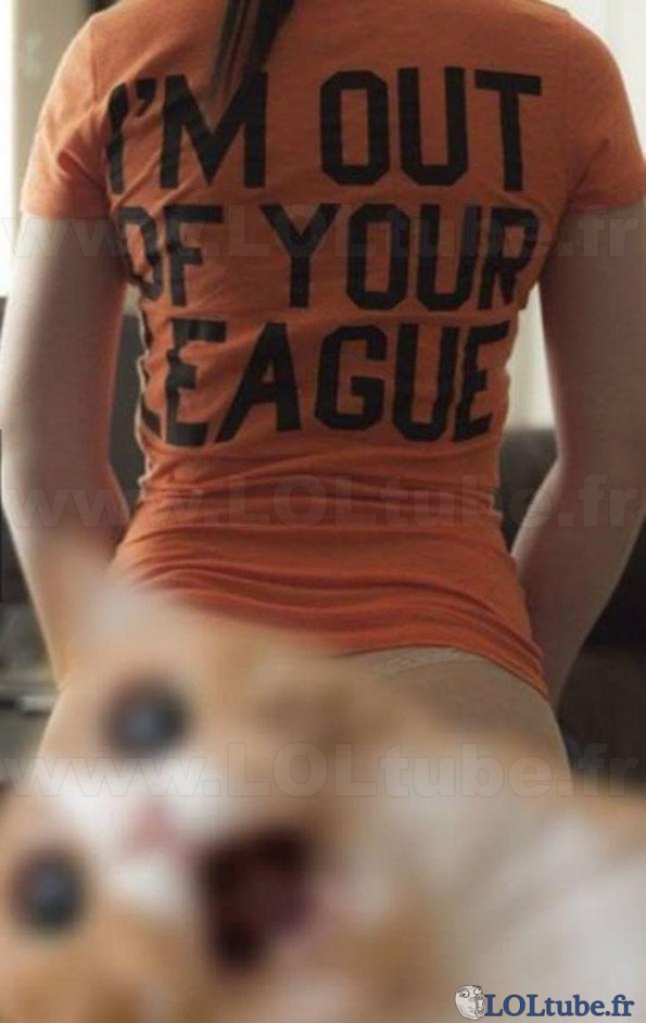 Dégage le chat !