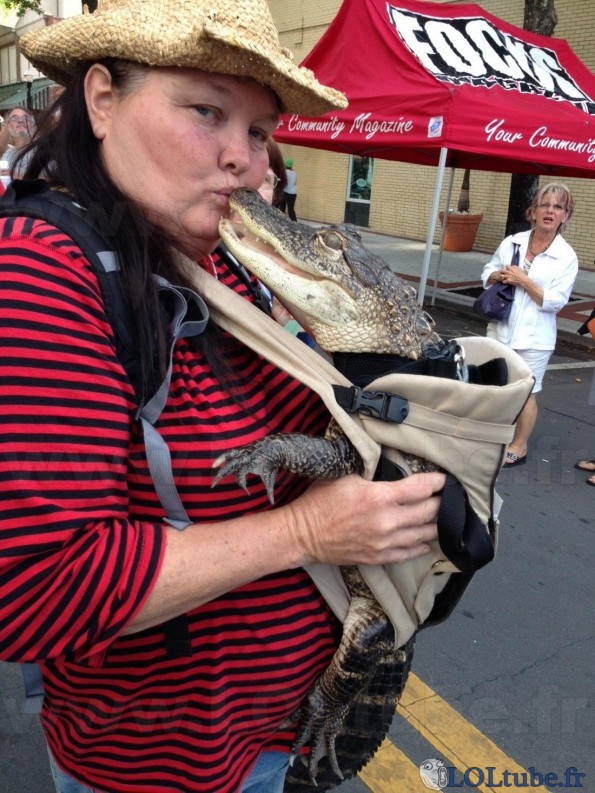 Transporter son bébé crocodile