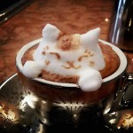 Un chat dans le café