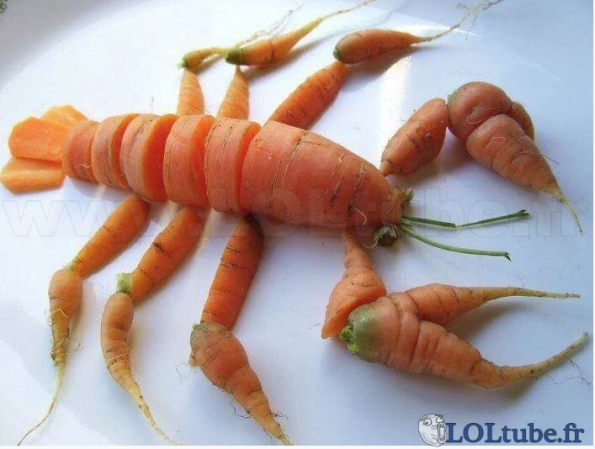 Un homard bon pour la santé