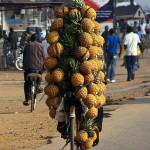 Transport d'ananas