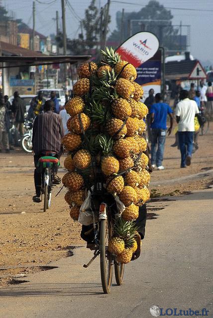 Transport d'ananas