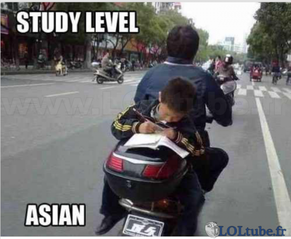 Etudier, toujours étudier