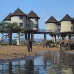 Se protéger des éléphants