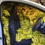 Transport de bananes