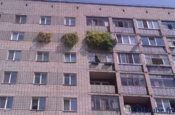 Un appartement vert