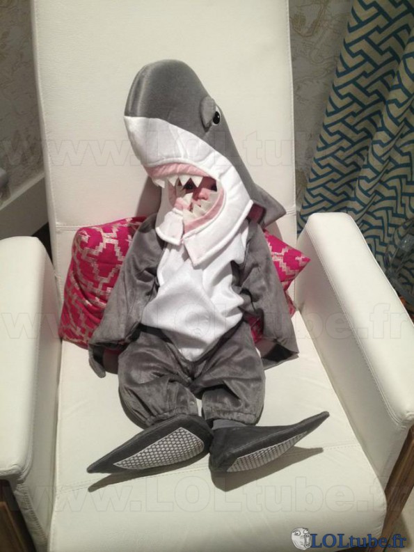 Bébé humain requin