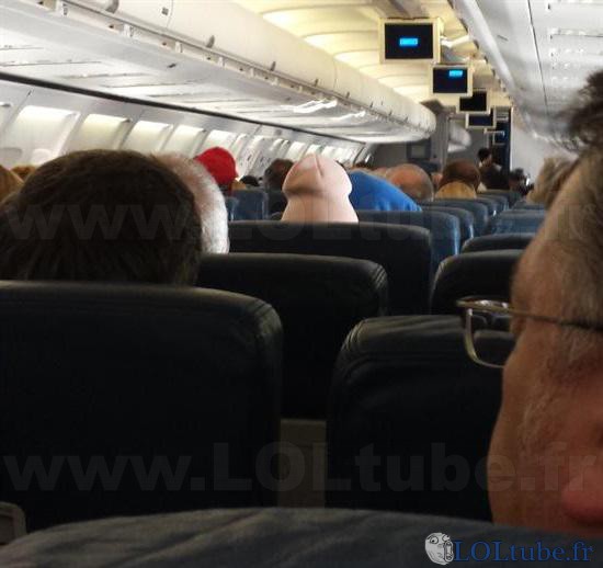 Un pénis dans l'avion
