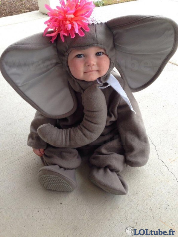 Bébé éléphant si mignon