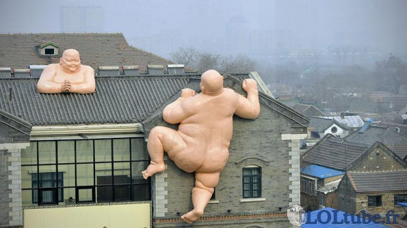 Juste wtf