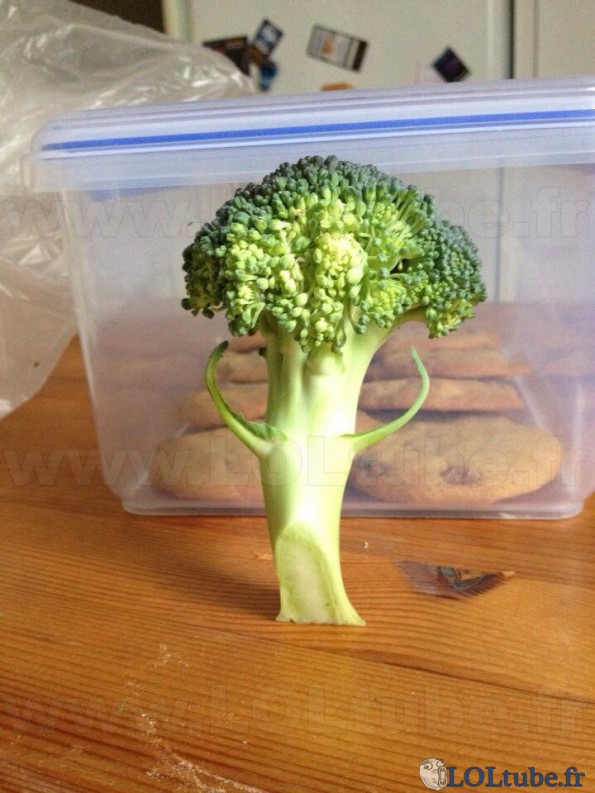 Un broccoli présentable