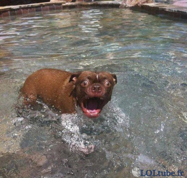 L'EAU