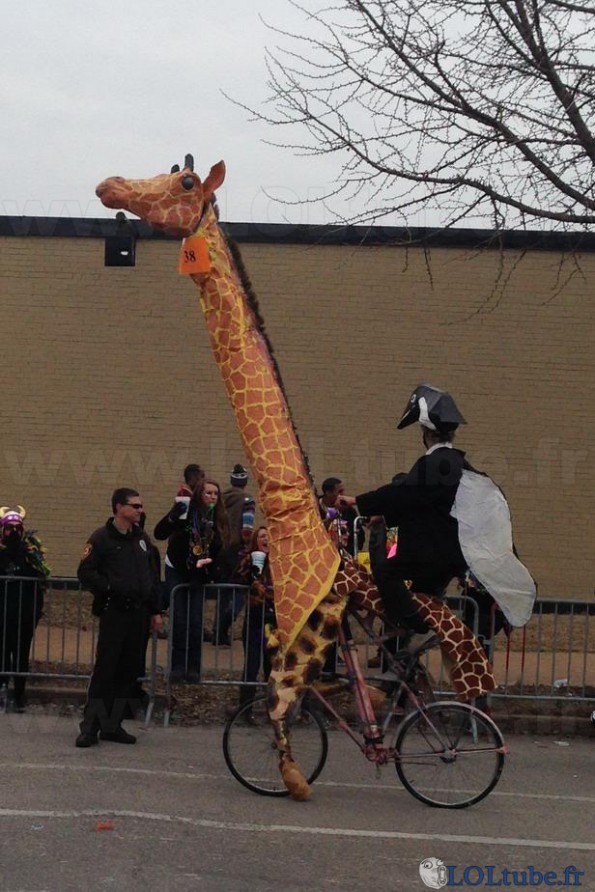 Vélo girafe