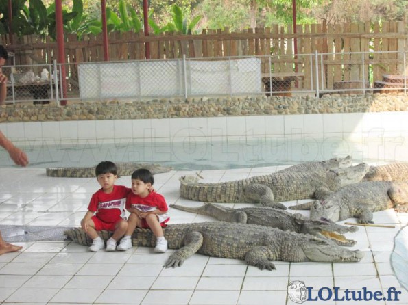 Assis sur les crocodiles