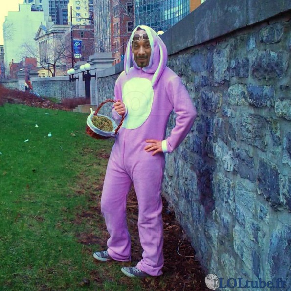 Snoop dog en lapin