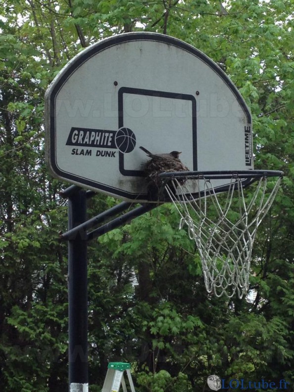 Et pour jouer au basket ?