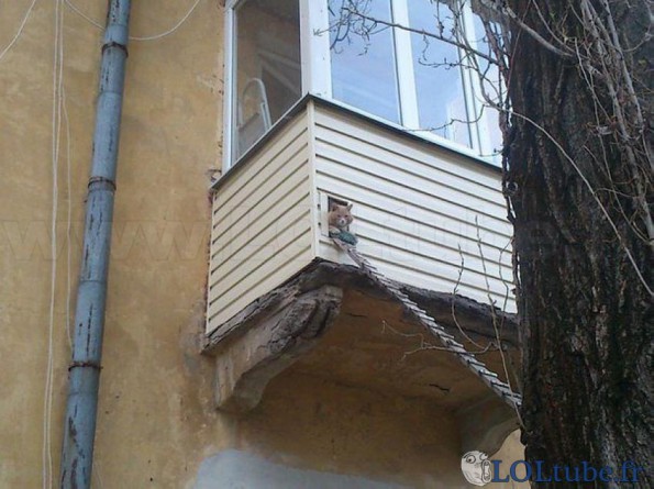 Passage de chat sur le balcon