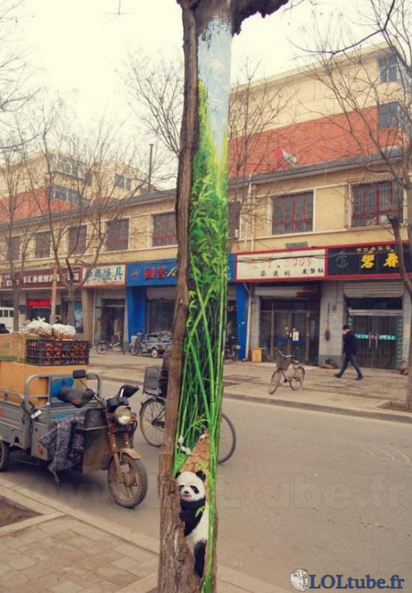 Panda dans un arbre