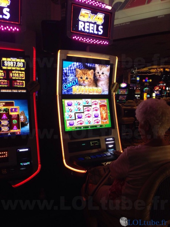 Casino chatons