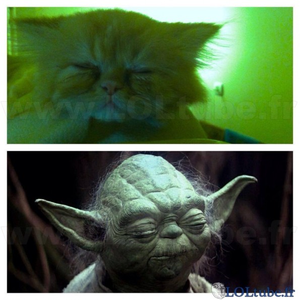 Maitre CHyodA
