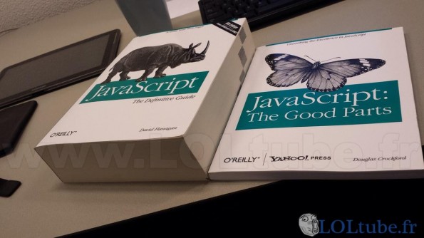 Javascript et Javascript ce qui est intéressant