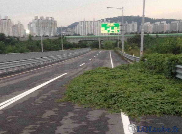 La nature s'étend sur l'autoroute
